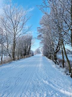 Ferienwohnung Hein sien Huus Rodenäs Nordfriesland - 8
