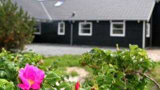 Villavilla 168 - Vejers, Vestjylland - 7