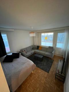 60m2 Rovaniemi city apartment, 2 bedrooms, sauna - 5