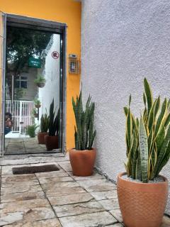 Lê Frevo Pernambucano - 4