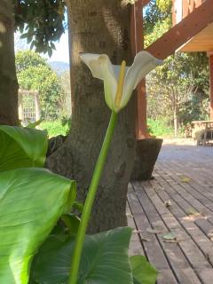 Maitencillo a 5 minutos!!! - 0