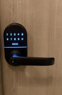 Bright New Boutique Apt, Fast WiFi, Great Location - 2