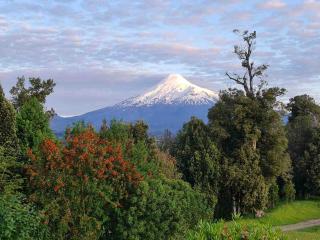 Large Lake House - 7