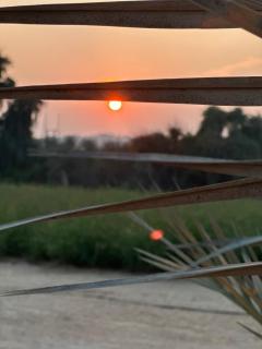 Al Ghaith Resort - 2