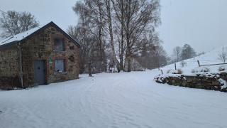 Le Clos du Cerf - Le Sous-bois - 8