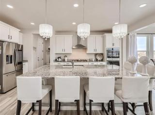 Beautiful Castle Rock Home - 0