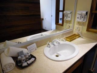 Hotel The Alvaa International Near Delhi Airport - 5