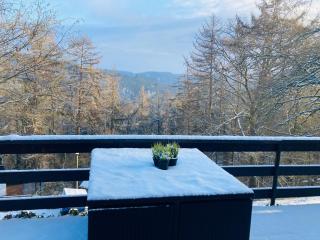 Woody Lodge - Duplex Nature Bonsoy Ardennes - 9