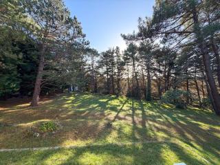 Le Clos des Pins - Maison de campagne - Paisible - 7