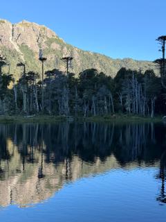 Altos del Sollipulli - 1