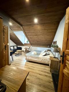 Willa Donia - Ustroń - 4