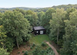 Домик в лесу - 5