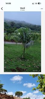 Sítio monte alegre - 5