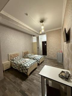 Delfin Hotel Spa Ganja - 4