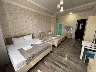 Delfin Hotel Spa Ganja - 2