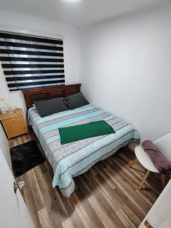 Cabaña Rayantu Antuco - 1