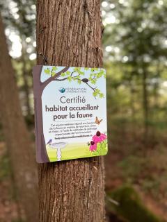 Winter Lakefront Chalet - Serendipity Hideaway - Ski, Skate, Snowshoes & Relax by the Cozy Fire - 1