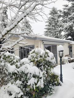 De Blauwe Reiger mooi dubbel chalet in de Veluwse bossen - 7