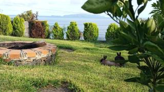 The Goat's Place - 8