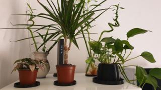 Cozy house near train station, walking distance from old town and Bologna Exhibition Centre - 6