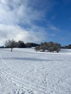 Casa da Peppe Schöne Auszeit im Schwarzwald - 7