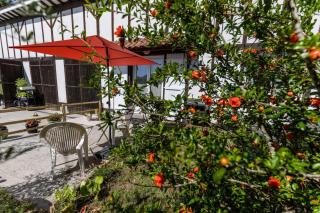 la resiniere - Hinx - 9