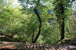 OASI LIGNANA Suite Apartments - 5