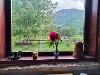 Corazon, One of a Kind Mill with Speechless Mountain View! - 6