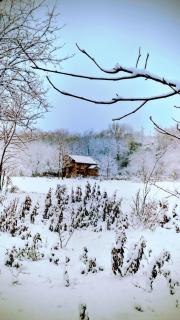 Corazon, One of a Kind Mill with Speechless Mountain View! - 5