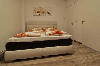 Hofmanns B&B - Loosdorf - 7