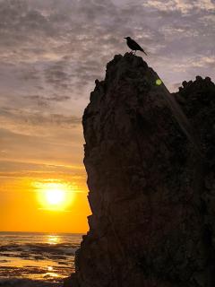 HOTEL D'PIERO MARCONA - 7