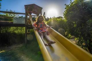Chalet 3 étoiles - Piscine - ccaibfi - 2