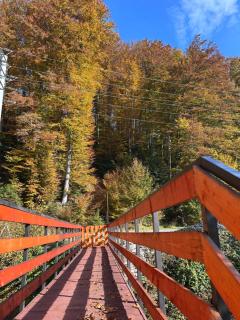 Casa Ursu - Cârțișoara - 7