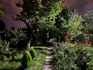 VIP квартира - Yerevan - 8