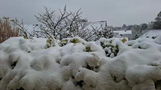 Über den Dächern von Flensburg - 9