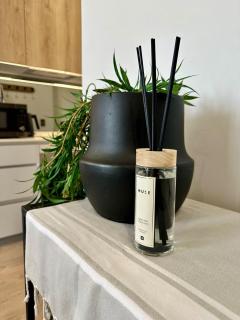 Explore Ellipse - The Sage Apartment - 5