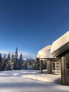 Modern and cozy cabin near ski slopes - 3