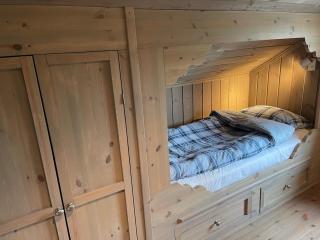 Modern and cozy cabin near ski slopes - 2