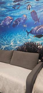 A45 ViviendaTurísticaValencia Mundo - 5