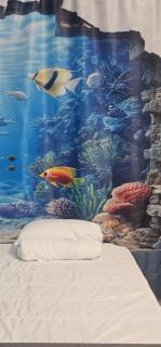 A45 ViviendaTurísticaValencia Mundo - 3