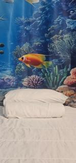 A45 ViviendaTurísticaValencia Mundo - 2