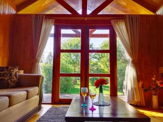 Cabaña Carretera Austral - 8