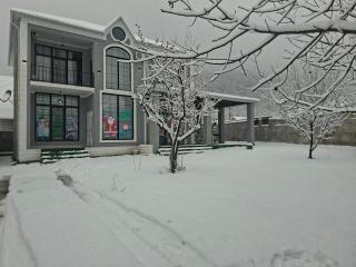 Mountain villa in Gabala - 3