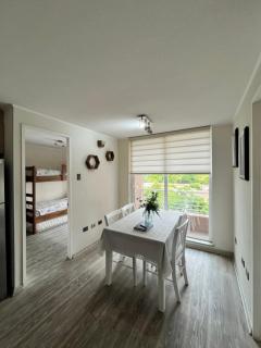 Apartments Chillan Centro excelente ubicación - 0