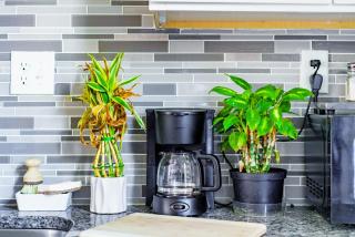 Jungle House Luxury Homes - Columbus Downtown Short North - Steps to Convention Center & Nationwide Arena - Sleeps up to 11 - Free Parking - Over 5,800 Five Stars - 4