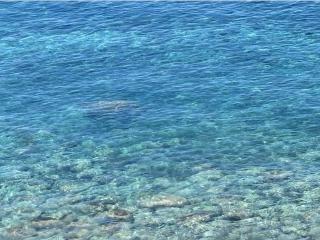 Suite Vigia Jardim - 8