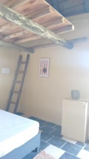 Tiny house de campo - 3