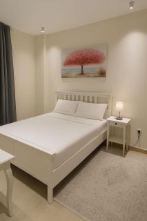 Luxury 1BHK Private Apartment in Bosher - 0