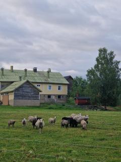 Torppa järvenrannalla - 3