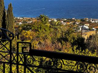 A historic STONE VILLA with private garden, terrace and private pool just for you - 3